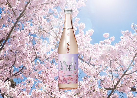 日本酒「百十郎:桜」四合瓶